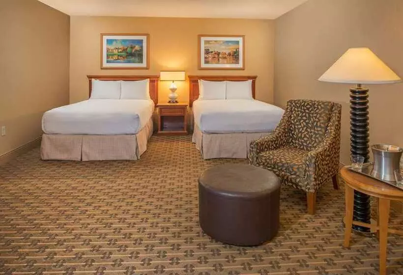 Standard-huone, Hilton Seattle Airport & Conference Center