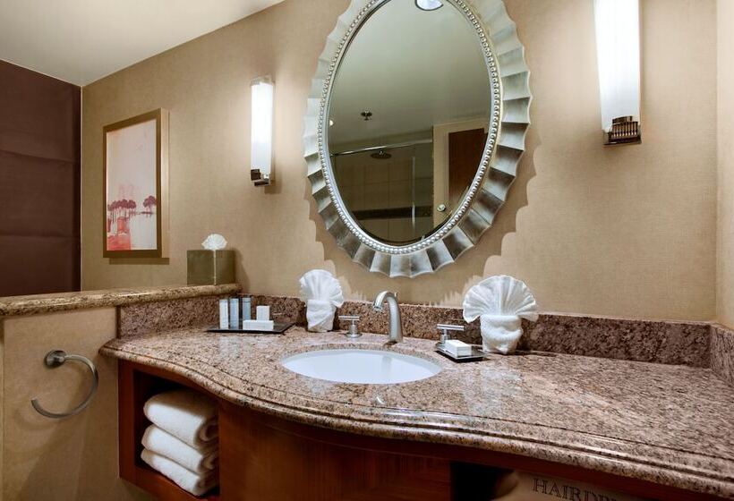 商务房间, Hilton Washington Dulles Airport