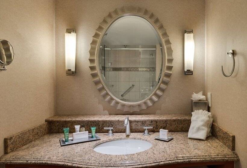 商务房间, Hilton Washington Dulles Airport