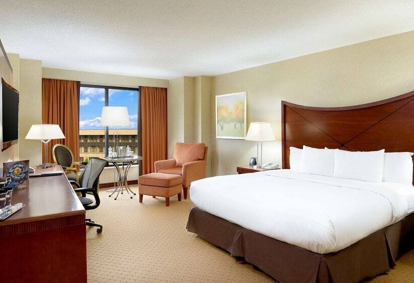 Business odası, Hilton Washington Dulles Airport