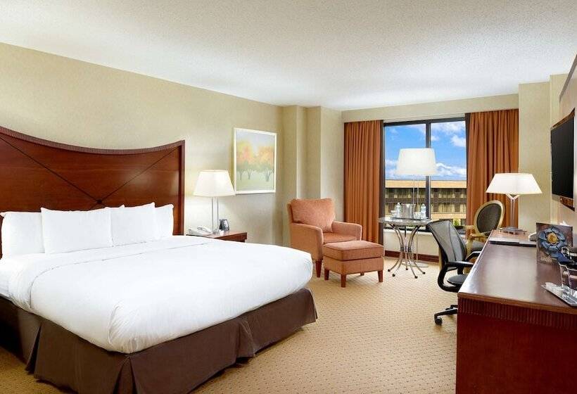 商务房间, Hilton Washington Dulles Airport