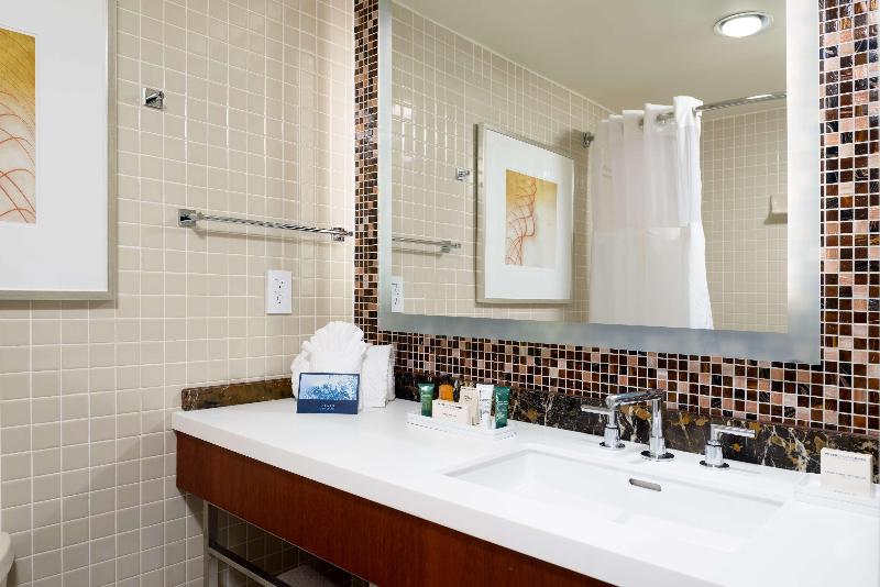 Büyük Çift Kişilik Yataklı Standart Oda, Hilton Washington Dulles Airport
