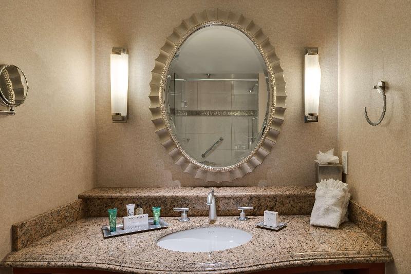 带大床的标准间, Hilton Washington Dulles Airport