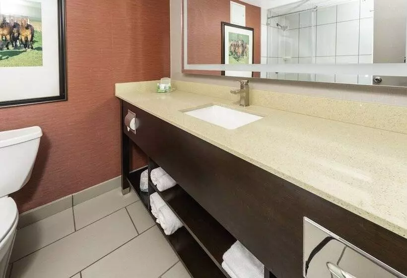 2ダブルベッドのスタンダードルーム, Holiday Inn Louisville East Hurstbourne, An Ihg