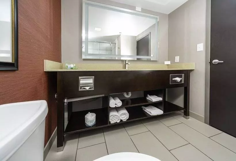 2ダブルベッドのスタンダードルーム, Holiday Inn Louisville East Hurstbourne, An Ihg