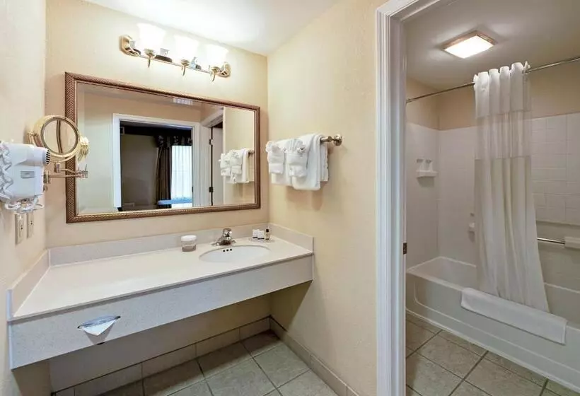 エクゼクティブルーム, Staysky Suites I Drive Orlando Near Universal