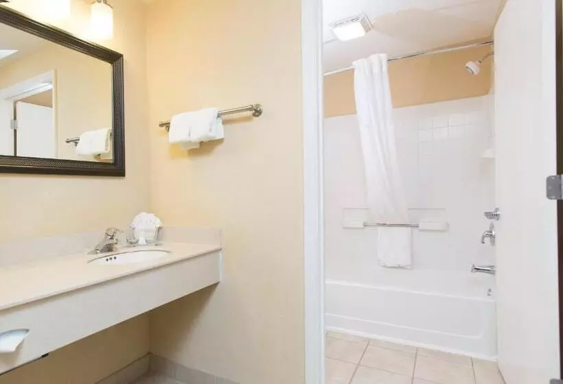 エクゼクティブルーム, Staysky Suites I Drive Orlando Near Universal