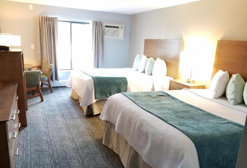 스탠다드 룸, Hampton Village Inn