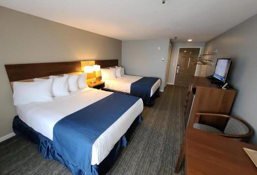 스탠다드 룸, Hampton Village Inn