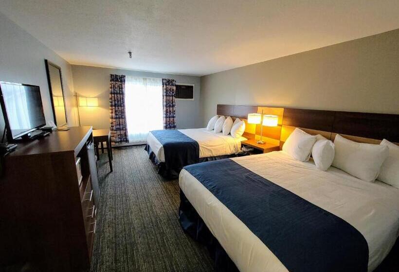 스탠다드 룸, Hampton Village Inn