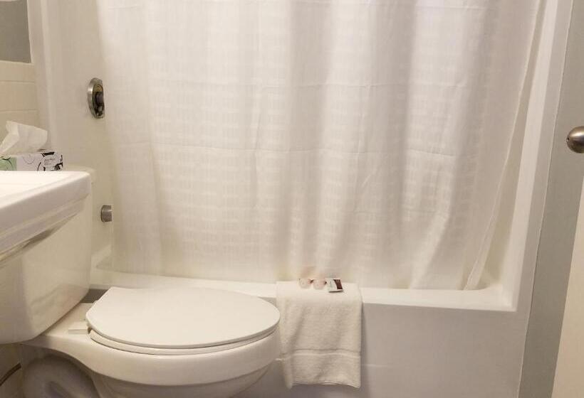 스탠다드 룸 킹사이즈 침대, Hampton Village Inn