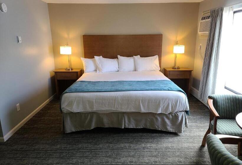 스탠다드 룸 킹사이즈 침대, Hampton Village Inn