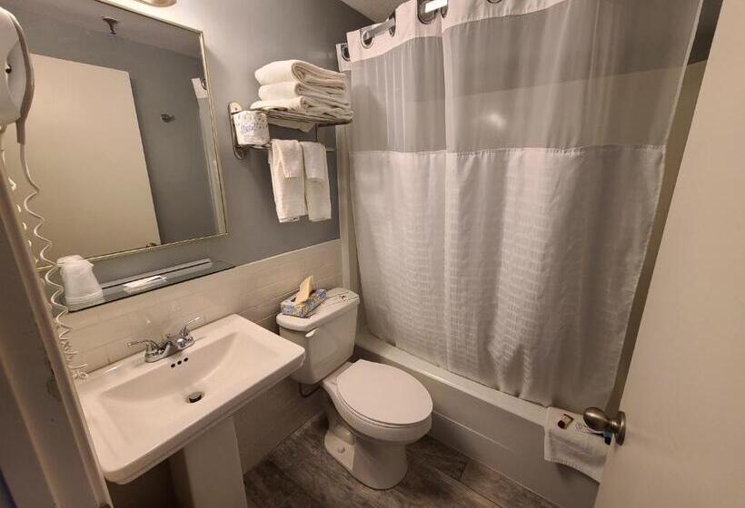 스탠다드 룸 킹사이즈 침대, Hampton Village Inn