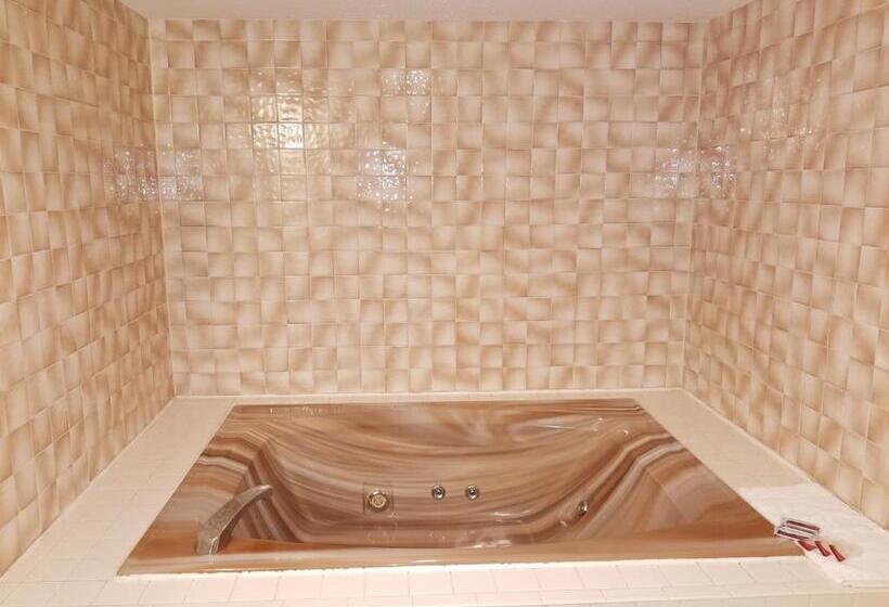 스탠다드 룸 킹사이즈 침대, Hampton Village Inn