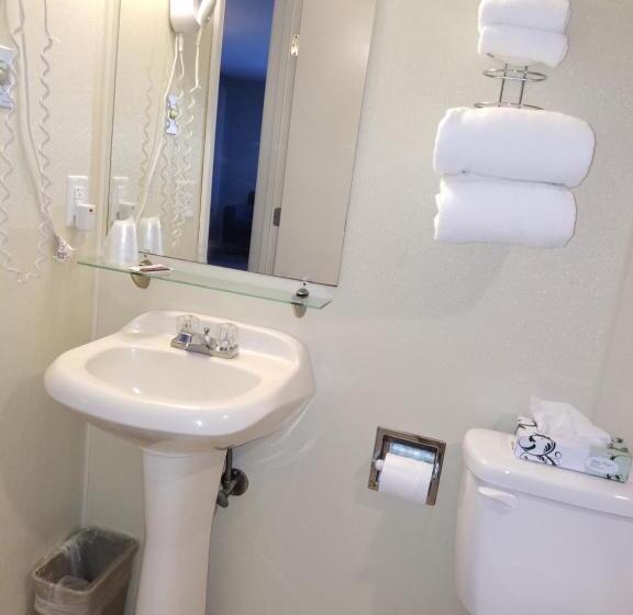 스탠다드 룸 킹사이즈 침대, Hampton Village Inn