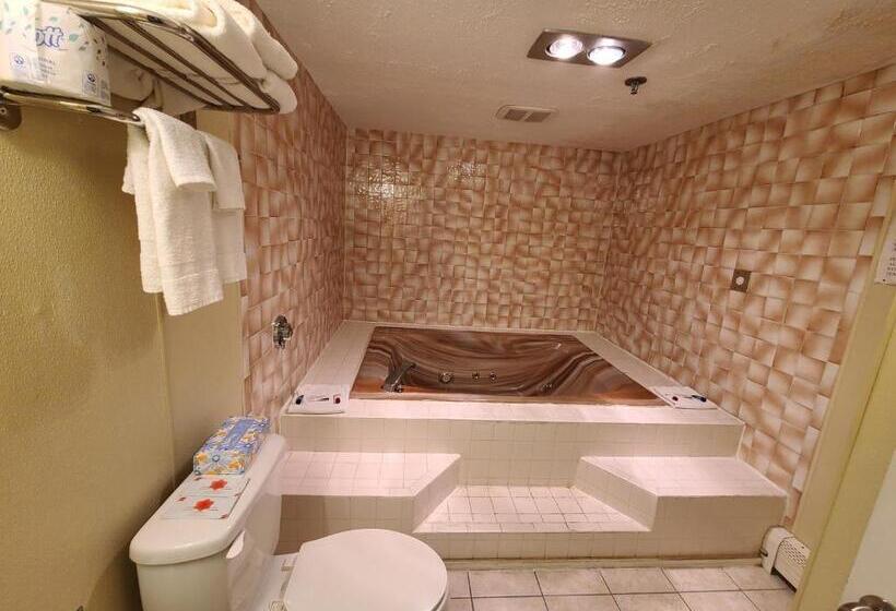 스탠다드 룸 킹사이즈 침대, Hampton Village Inn