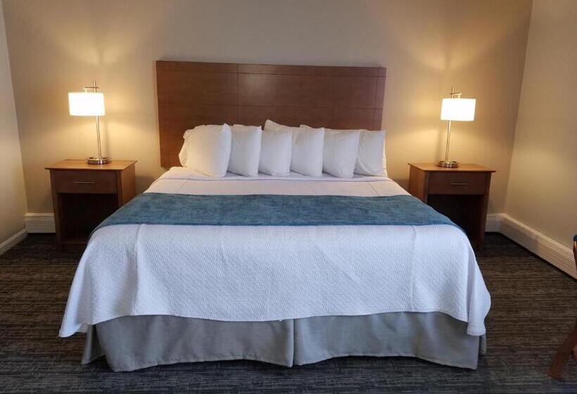 스탠다드 룸 킹사이즈 침대, Hampton Village Inn