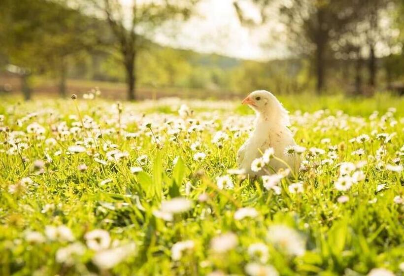 스탠다드 자쿠지 룸, La Bastide Du Capelier   Chambre D Hôtes