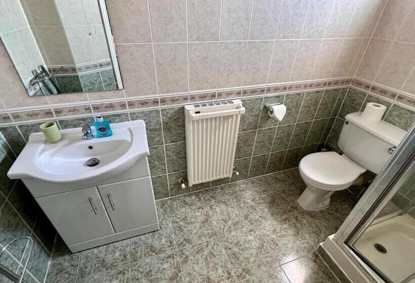 Семейный Номер, The Mayfair Guest House Self Catering