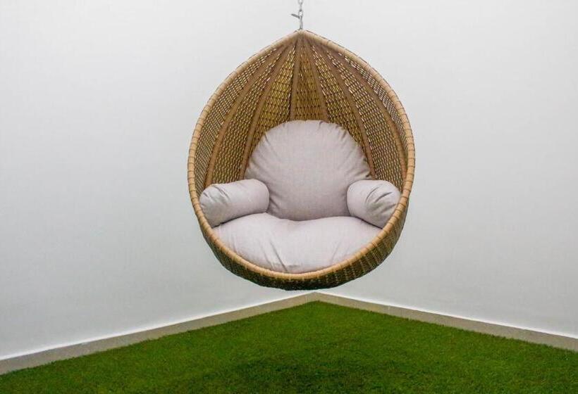 اتاق لوکس, Dorado Plaza Alto Prado