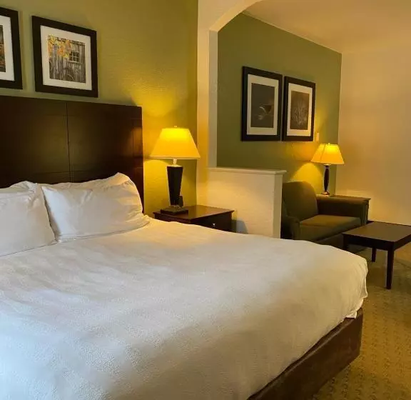 キングサイズベッドのエクゼクティブルーム, Best Western Celina