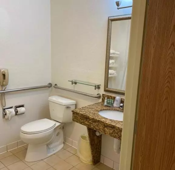 身障者適用キングサイズベッドルーム, Best Western Celina
