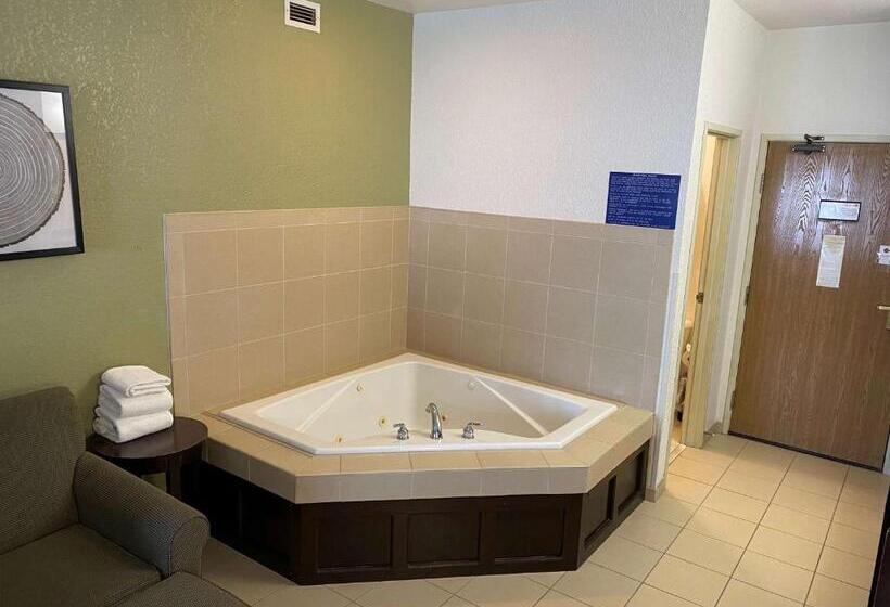 غرفة قياسية سرير كينج, Best Western Celina