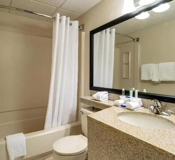 Standard-huone King-vuode, Best Western Plus Como Park