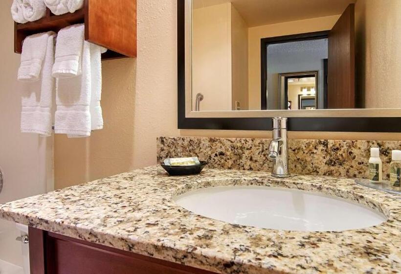 장애인을 위한 킹사이즈 침대 스탠다드 룸, Best Western Plus New Ulm