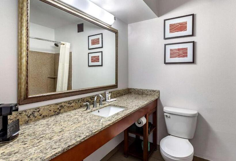 غرفة قياسية سرير كينج, Comfort Inn Brownsville I40