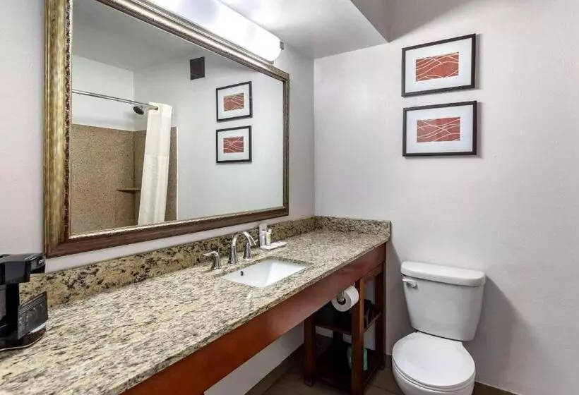 キングサイズベッドのスタンダードルーム, Comfort Inn Brownsville I40