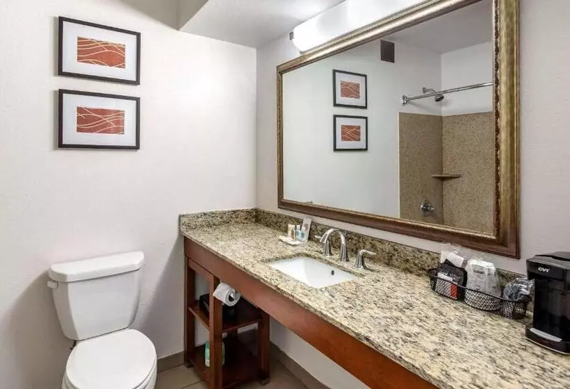 スタンダードルーム, Comfort Inn Brownsville I40