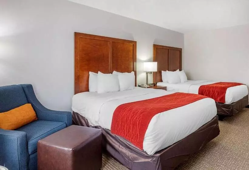 スタンダードルーム, Comfort Inn Brownsville I40