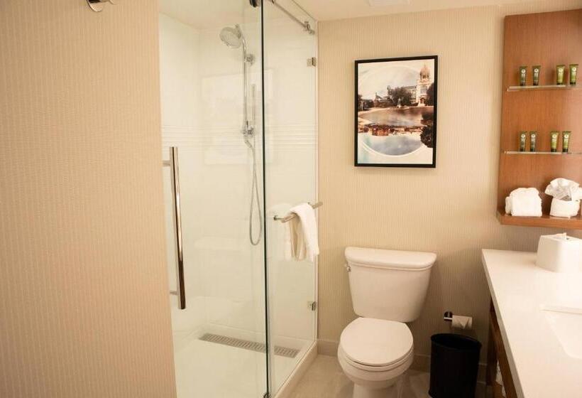 חדר סטנדרט עם מיטת קינג, Delta Hotels By Marriott Allentown Lehigh Valley