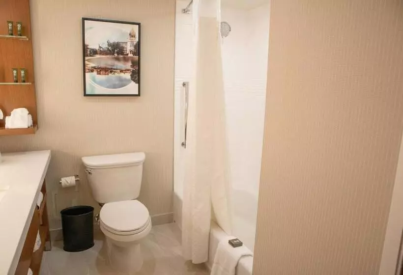 スタンダードルーム, Delta Hotels By Marriott Allentown Lehigh Valley