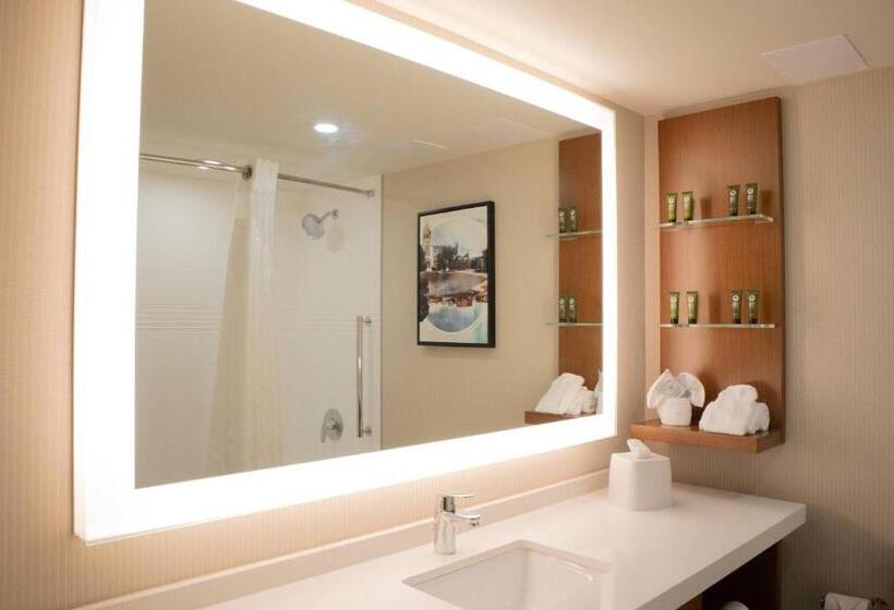 חדר סטנדרט, Delta Hotels By Marriott Allentown Lehigh Valley