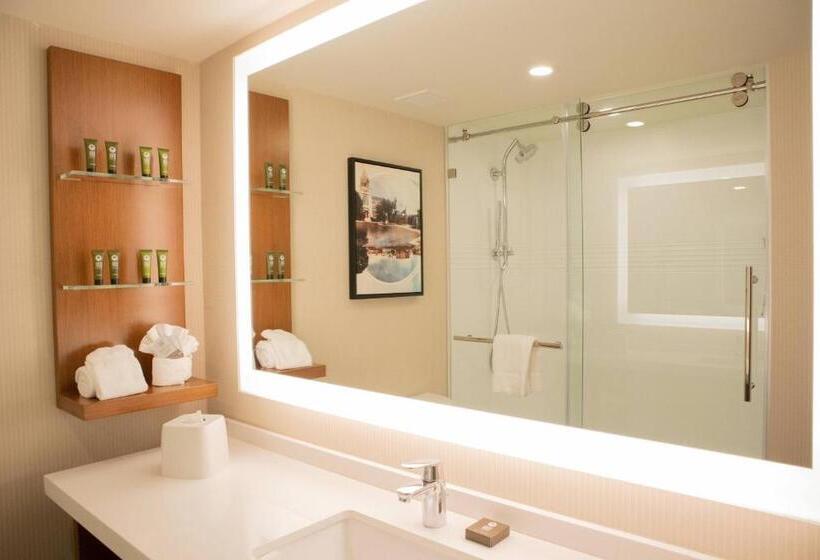 חדר סטנדרט עם מיטת קינג, Delta Hotels By Marriott Allentown Lehigh Valley