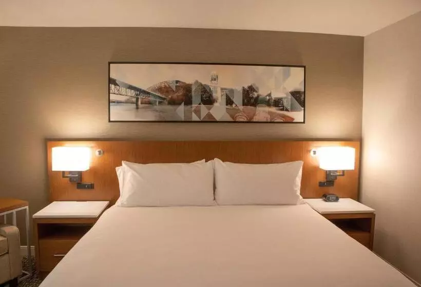 身障者適用キングサイズベッドルーム, Delta Hotels By Marriott Allentown Lehigh Valley