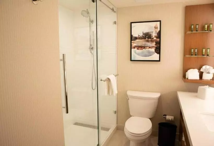 身障者適用キングサイズベッドルーム, Delta Hotels By Marriott Allentown Lehigh Valley