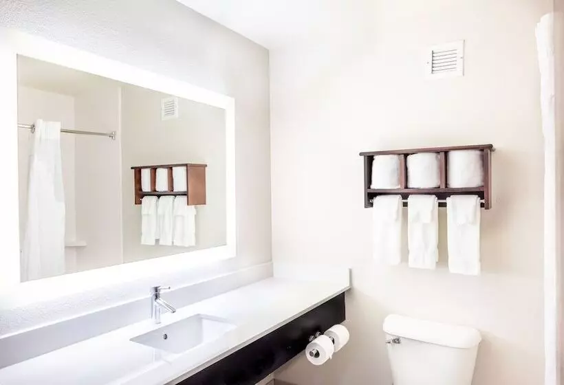 スイート, Holiday Inn Express Hotel & Suites Fort Payne, An Ihg