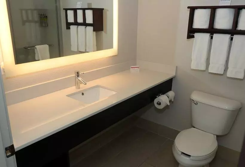 スイート, Holiday Inn Express Hotel & Suites Fort Payne, An Ihg