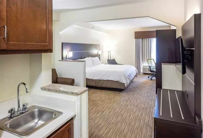 スイート, Holiday Inn Express Hotel & Suites Fort Payne, An Ihg