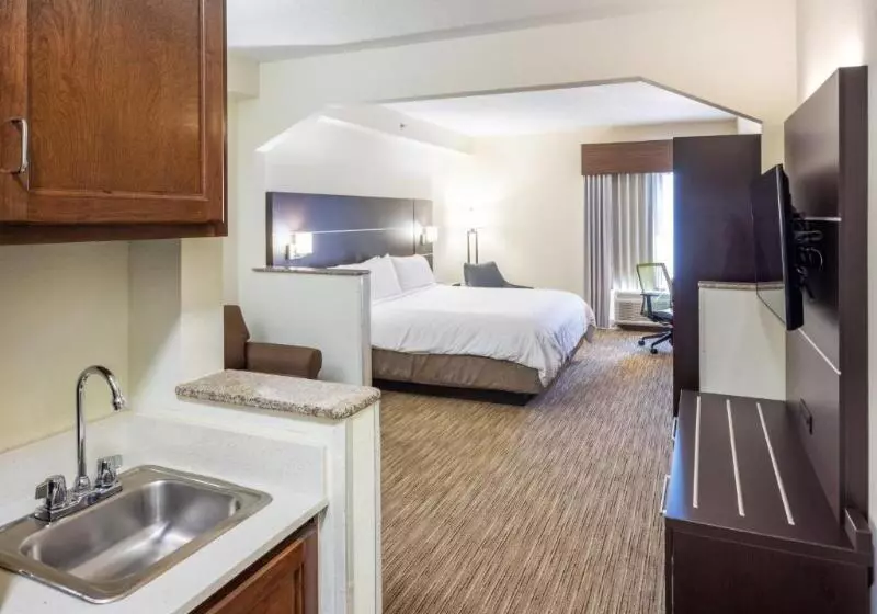 キングサイズベッドのスイートルーム, Holiday Inn Express Hotel & Suites Fort Payne, An Ihg