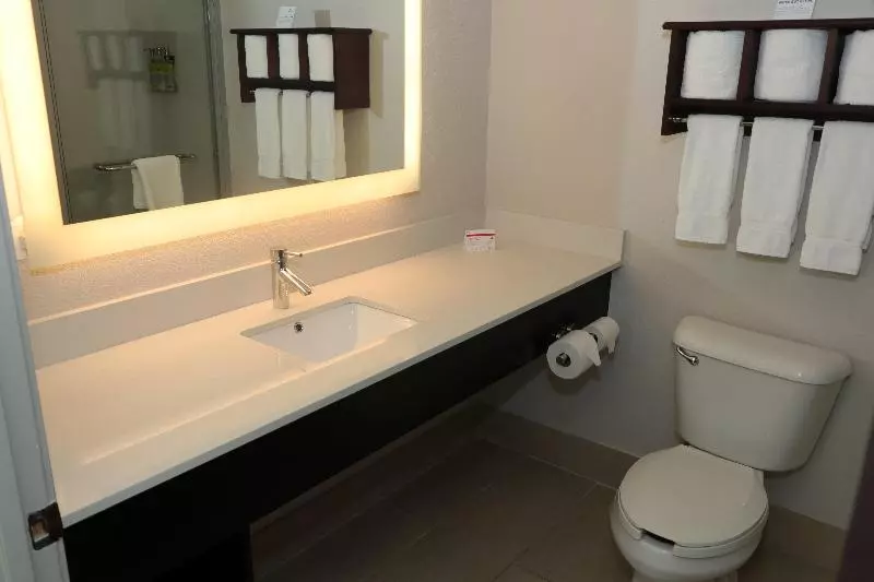 キングサイズベッドのスタンダードルーム, Holiday Inn Express Hotel & Suites Fort Payne, An Ihg