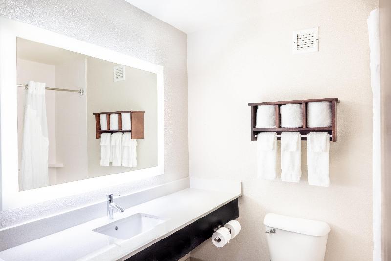 غرفة قياسية سرير كينج, Holiday Inn Express Hotel & Suites Fort Payne, An Ihg