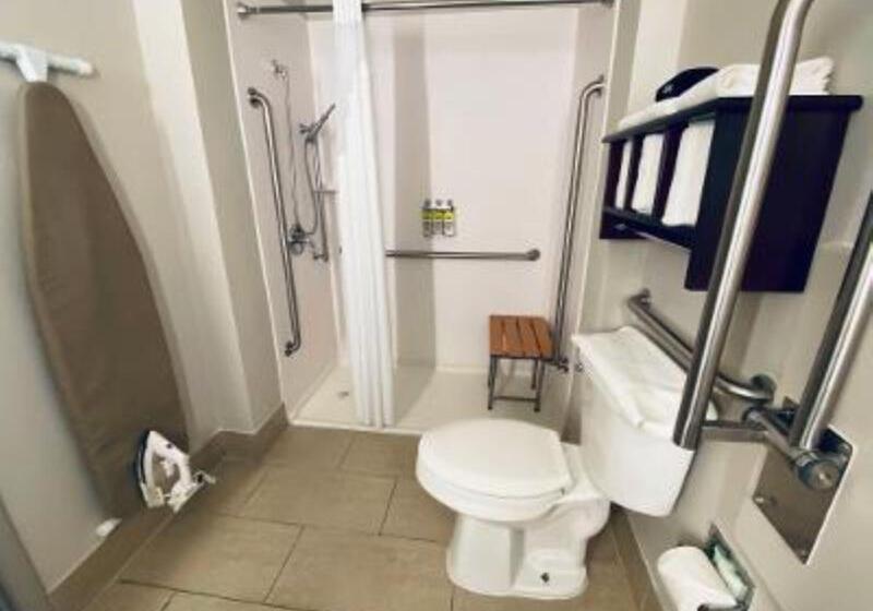 غرفة قياسية سرير كينج لذوى الإحتياجات الخاصة, Holiday Inn Express Hotel & Suites Fort Payne, An Ihg