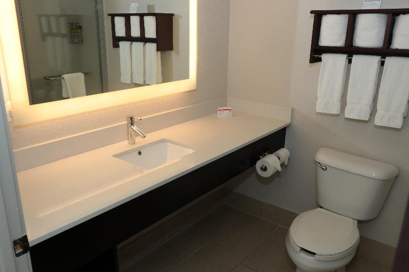 جناح سرير كينج, Holiday Inn Express Hotel & Suites Fort Payne, An Ihg