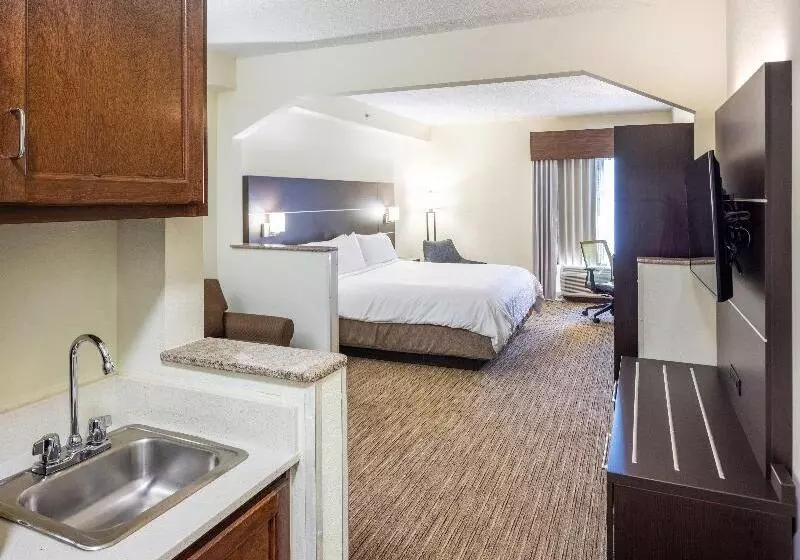 キングサイズベッドのスイートルーム, Holiday Inn Express Hotel & Suites Fort Payne, An Ihg
