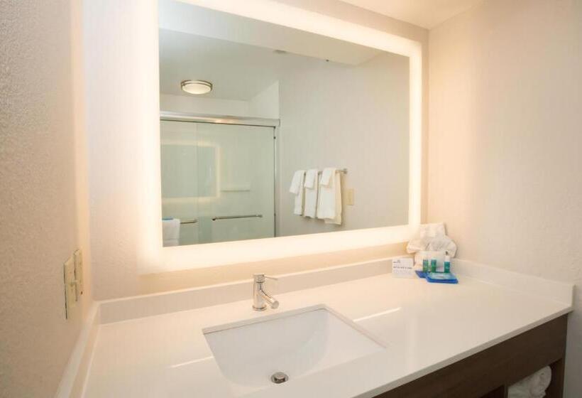 חדר סטנדרט, Holiday Inn Express Hotel & Suites Madison, An Ihg