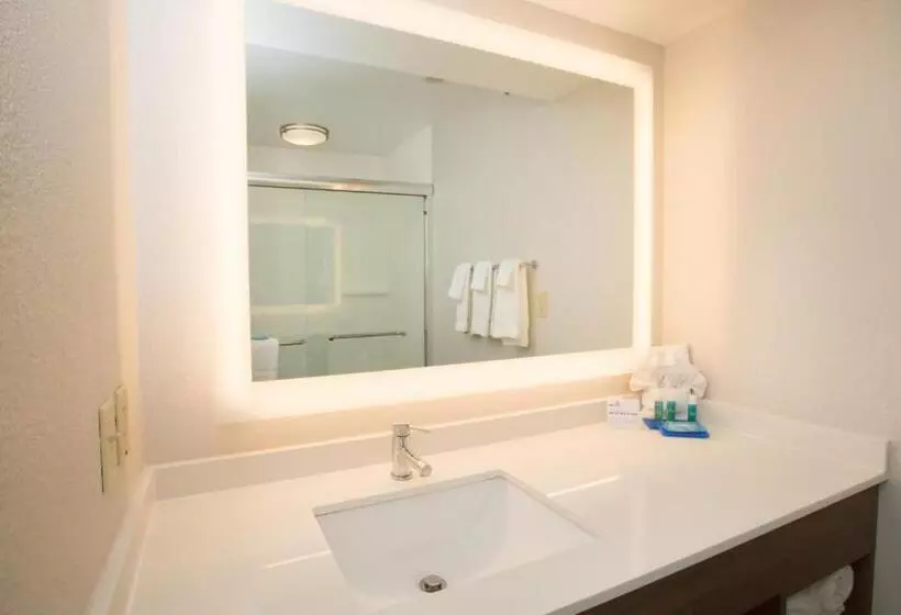 スタンダードルーム, Holiday Inn Express Hotel & Suites Madison, An Ihg